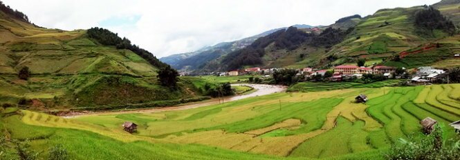 Sổ tay du lịch so tay du lich Sotaydulich Sotay Dulich Khampha Kham Pha Bui Mùa vàng Mù Cang Chải