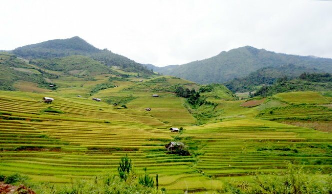 Sổ tay du lịch so tay du lich Sotaydulich Sotay Dulich Khampha Kham Pha Bui Mùa vàng Mù Cang Chải