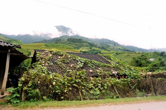 Sổ tay du lịch so tay du lich Sotaydulich Sotay Dulich Khampha Kham Pha Bui Mùa vàng Mù Cang Chải