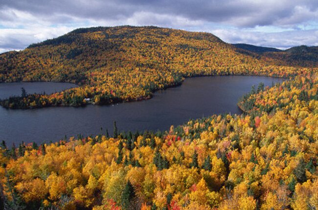 Sổ tay du lịch so tay du lich Sotaydulich Sotay Dulich Khampha Kham Pha Bui Đến Canada ngắm lá phong vào thu