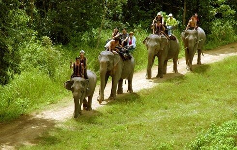 Sổ tay du lịch so tay du lich Sotaydulich Sotay Dulich Khampha Kham Pha Bui Trải nghiệm kỳ thú Yok Đôn