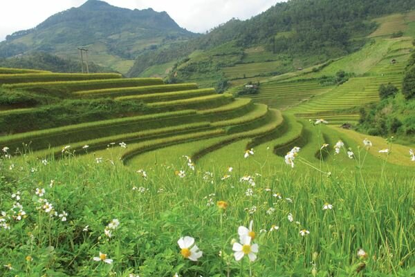 Sổ tay du lịch so tay du lich Sotaydulich Sotay Dulich Khampha Kham Pha Bui Bản tình ca mùa thu Tây Bắc