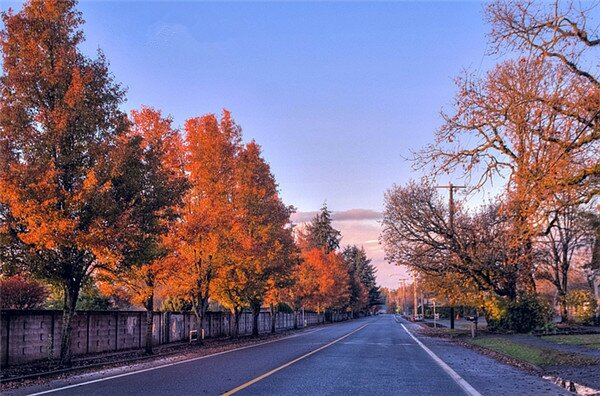 Sổ tay du lịch so tay du lich Sotaydulich Sotay Dulich Khampha Kham Pha Bui Rong chơi Maple Road Đại lộ lá phong