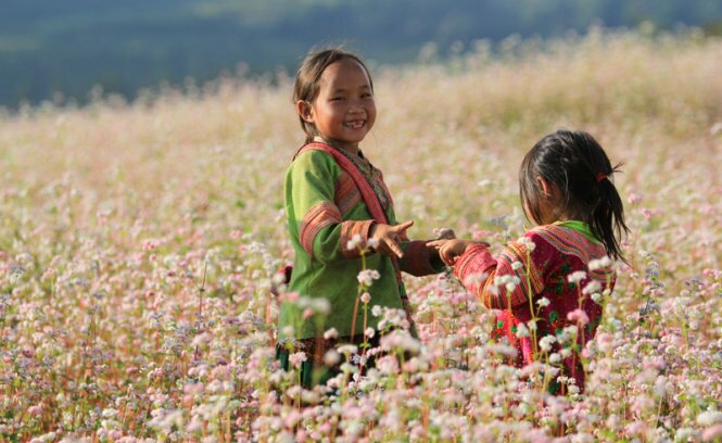 Sổ tay du lịch so tay du lich Sotaydulich Sotay Dulich Khampha Kham Pha Bui Xín Mần mùa hoa tam giác mạch