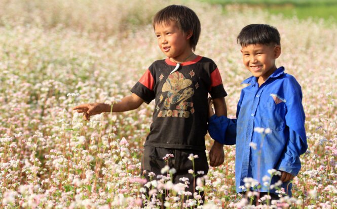 Sổ tay du lịch so tay du lich Sotaydulich Sotay Dulich Khampha Kham Pha Bui Xín Mần mùa hoa tam giác mạch