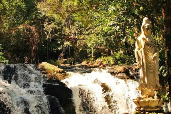 Sổ tay du lịch so tay du lich Sotaydulich Sotay Dulich Khampha Kham Pha Bui Thưởng trà và đón đông tại xứ trà Bảo Lộc