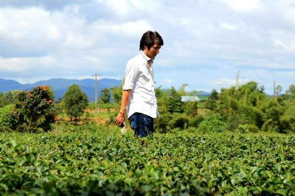 Sổ tay du lịch so tay du lich Sotaydulich Sotay Dulich Khampha Kham Pha Bui Thưởng trà và đón đông tại xứ trà Bảo Lộc