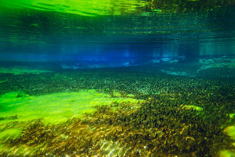 Sổ tay du lịch so tay du lich Sotaydulich Sotay Dulich Khampha Kham Pha Bui Blue Lake - Hồ nước trong suốt nhất thế giới