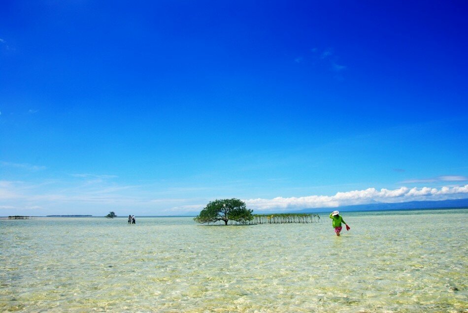 Sổ tay du lịch so tay du lich Sotaydulich Sotay Dulich Khampha Kham Pha Bui Thiên đường biển xanh ở Bohol