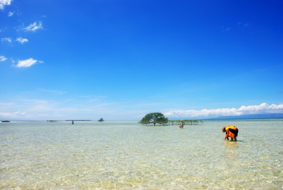 Sổ tay du lịch so tay du lich Sotaydulich Sotay Dulich Khampha Kham Pha Bui Thiên đường biển xanh ở Bohol