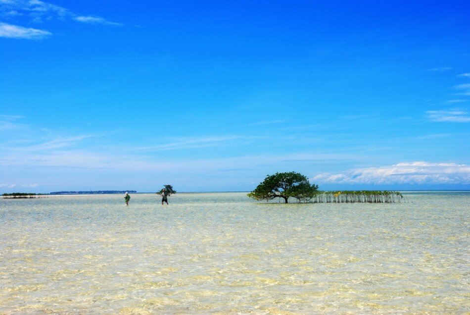 Sổ tay du lịch so tay du lich Sotaydulich Sotay Dulich Khampha Kham Pha Bui Thiên đường biển xanh ở Bohol