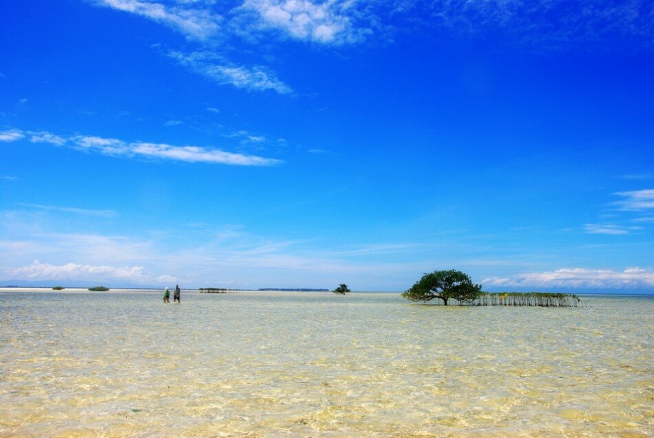 Sổ tay du lịch so tay du lich Sotaydulich Sotay Dulich Khampha Kham Pha Bui Thiên đường biển xanh ở Bohol