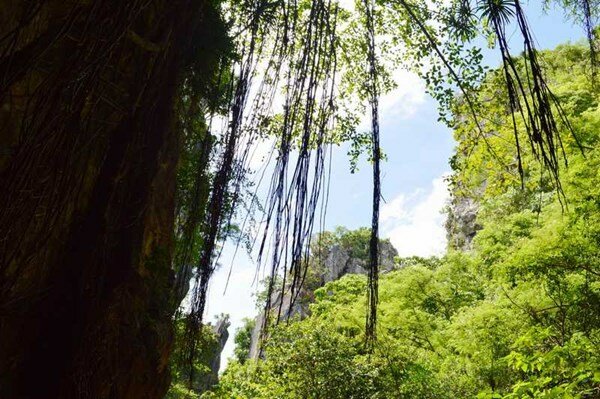 Sổ tay du lịch so tay du lich Sotaydulich Sotay Dulich Khampha Kham Pha Bui Lên non tìm động Huyền Không