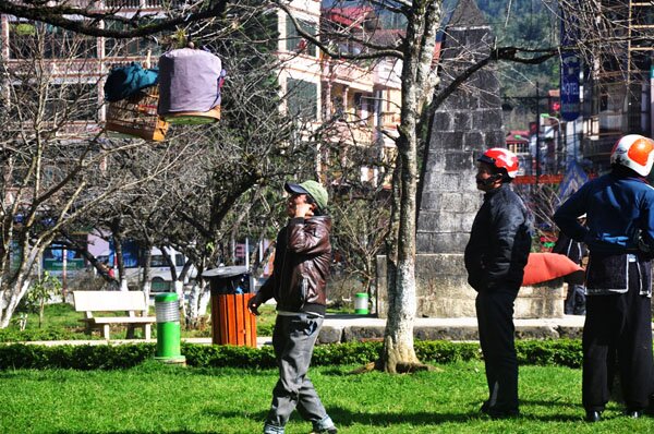 Sổ tay du lịch so tay du lich Sotaydulich Sotay Dulich Khampha Kham Pha Bui Sa Pa bừng sáng trong nắng đông