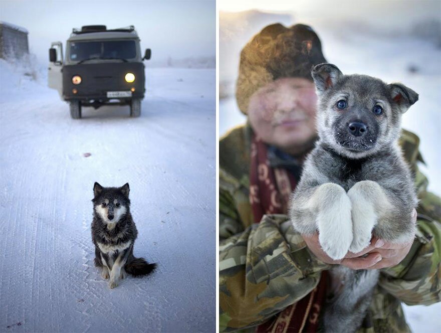 Sổ tay du lịch so tay du lich Sotaydulich Sotay Dulich Khampha Kham Pha Bui Thăm lại ngôi làng Oymyakon lạnh nhất hành tinh