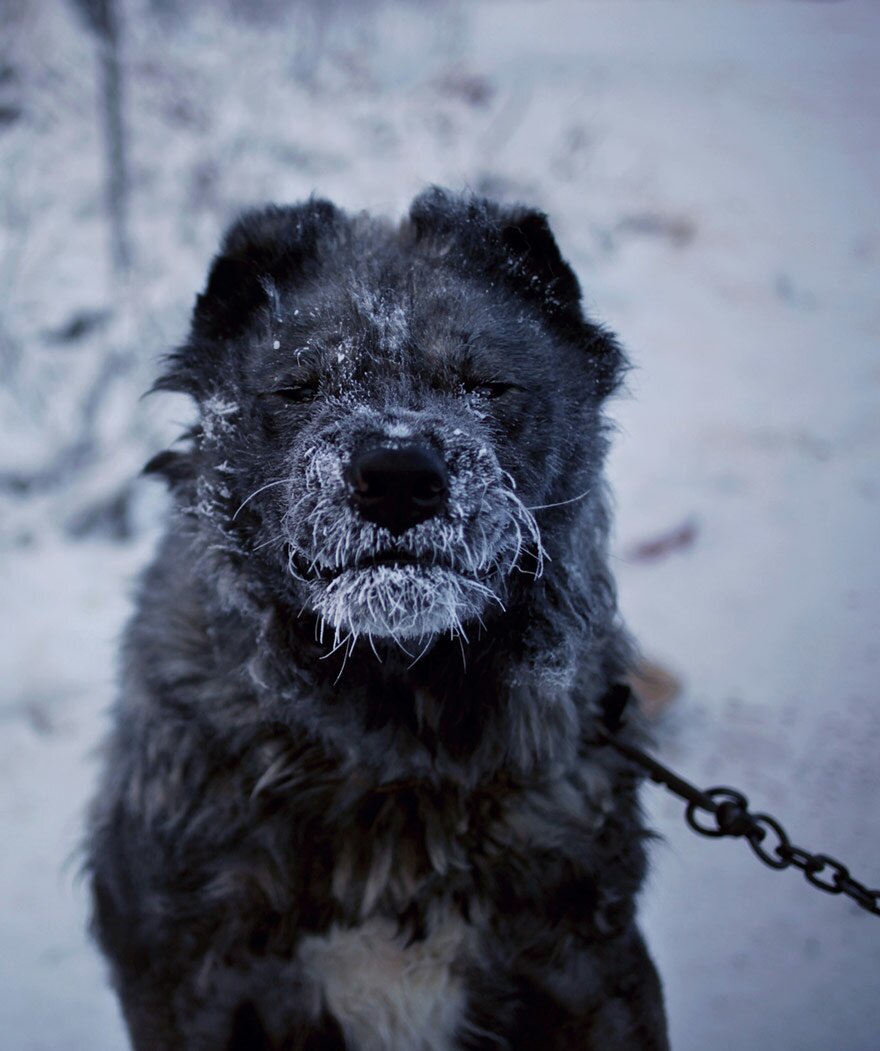 Sổ tay du lịch so tay du lich Sotaydulich Sotay Dulich Khampha Kham Pha Bui Thăm lại ngôi làng Oymyakon lạnh nhất hành tinh