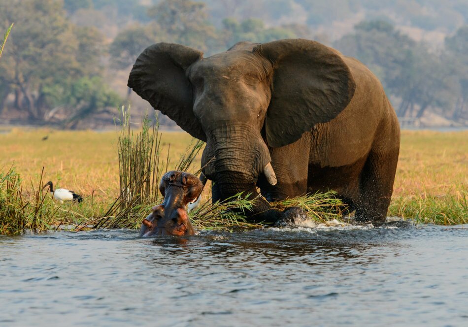 Sổ tay du lịch so tay du lich Sotaydulich Sotay Dulich Khampha Kham Pha Bui Hoang dã Botswana