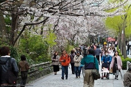 Sổ tay du lịch so tay du lich Sotaydulich Sotay Dulich Khampha Kham Pha Bui Xúc tiến du lịch Tokyo tại Hà Nội