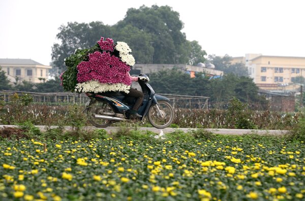 Sổ tay du lịch so tay du lich Sotaydulich Sotay Dulich Khampha Kham Pha Bui Đi thăm 5 làng hoa nổi tiếng dịp giáp Tết