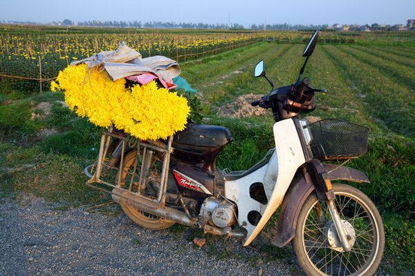 Sổ tay du lịch so tay du lich Sotaydulich Sotay Dulich Khampha Kham Pha Bui Đi thăm 5 làng hoa nổi tiếng dịp giáp Tết