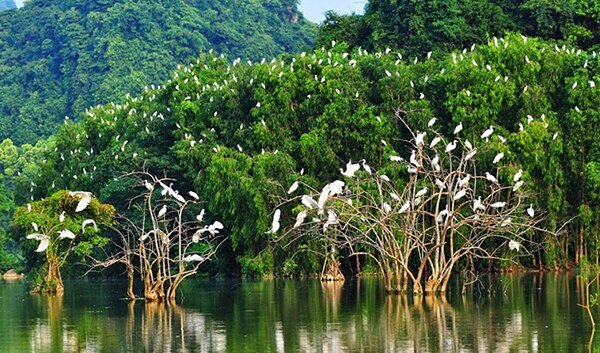 Sổ tay du lịch so tay du lich Sotaydulich Sotay Dulich Khampha Kham Pha Bui Danh thắng Tràng An - Nơi di sản hội tụ và tỏa sáng