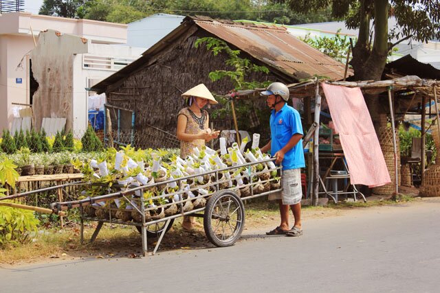 Sổ tay du lịch so tay du lich Sotaydulich Sotay Dulich Khampha Kham Pha Bui Rực rỡ sắc xuân làng hoa Tân Quy Đông