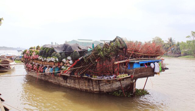 Sổ tay du lịch so tay du lich Sotaydulich Sotay Dulich Khampha Kham Pha Bui Rực rỡ sắc xuân làng hoa Tân Quy Đông