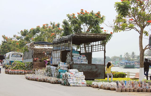 Sổ tay du lịch so tay du lich Sotaydulich Sotay Dulich Khampha Kham Pha Bui Rực rỡ sắc xuân làng hoa Tân Quy Đông