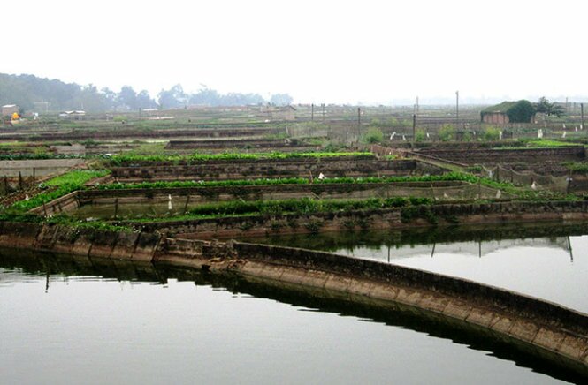 Sổ tay du lịch so tay du lich Sotaydulich Sotay Dulich Khampha Kham Pha Bui Thăm làng cá chép ông Công ông Táo