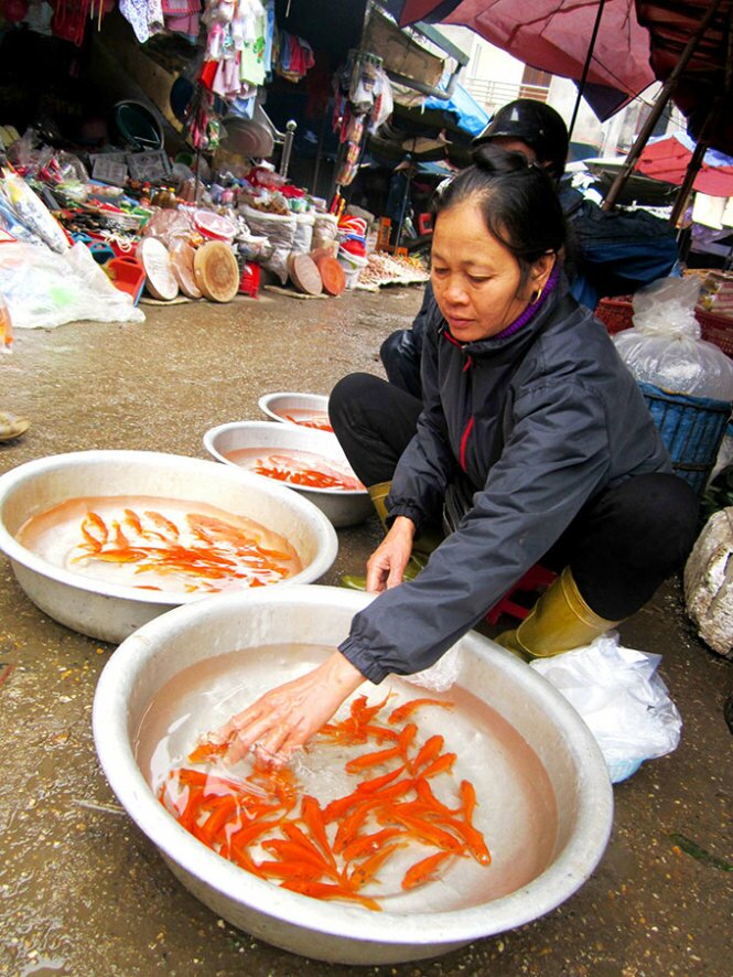 Sổ tay du lịch so tay du lich Sotaydulich Sotay Dulich Khampha Kham Pha Bui Thăm làng cá chép ông Công ông Táo