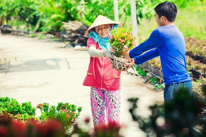 Sổ tay du lịch so tay du lich Sotaydulich Sotay Dulich Khampha Kham Pha Bui Làng hoa Sa Đéc vào xuân