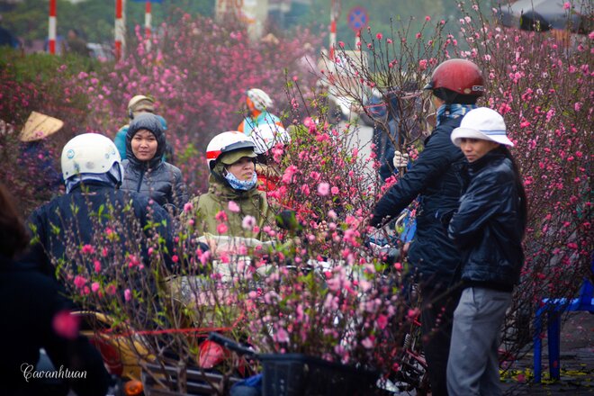 Sổ tay du lịch so tay du lich Sotaydulich Sotay Dulich Khampha Kham Pha Bui Chợ hoa đào Quảng Bá nhộn nhịp ngày giáp Tết