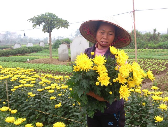 Sổ tay du lịch so tay du lich Sotaydulich Sotay Dulich Khampha Kham Pha Bui Nhộn nhịp chợ hoa Tết xứ Đoài