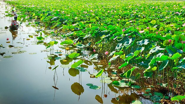 Sổ tay du lịch so tay du lich Sotaydulich Sotay Dulich Khampha Kham Pha Bui Thành phố hoa sen