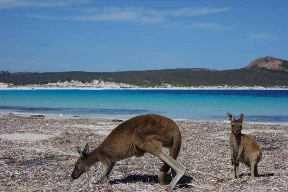 Sổ tay du lịch so tay du lich Sotaydulich Sotay Dulich Khampha Kham Pha Bui 27 hình ảnh tuyệt đẹp về Australia