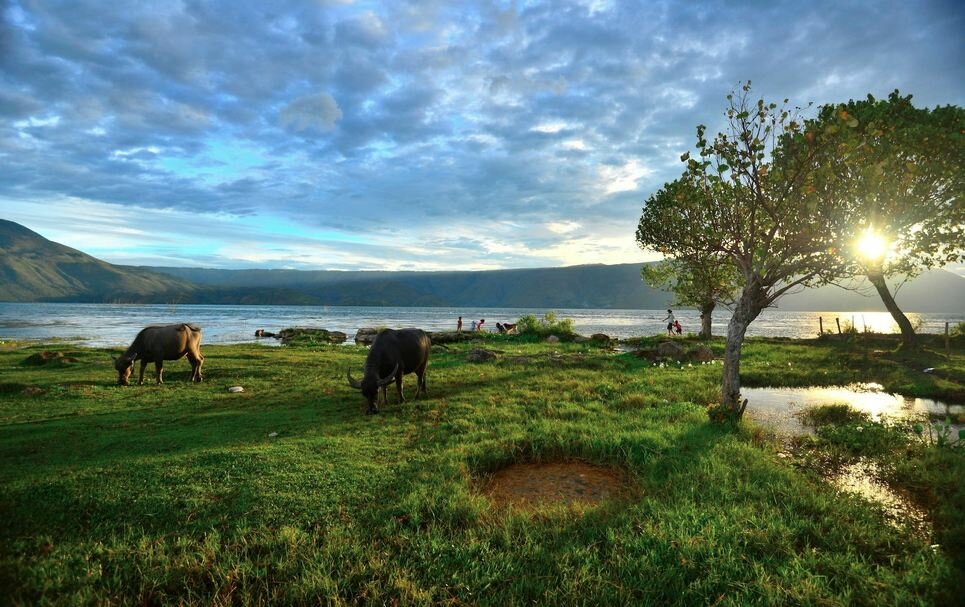 Sổ tay du lịch so tay du lich Sotaydulich Sotay Dulich Khampha Kham Pha Bui Hồ Toba - Viên ngọc của Sumatra