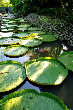 Sotaydulich Sotay Dulich Khampha Kham Pha Bui Thao cam vien sang tinh suong