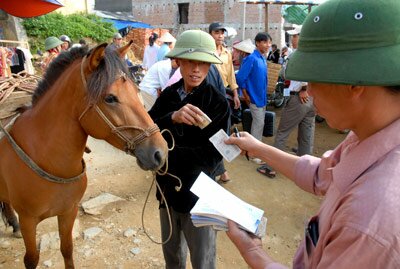 Sotaydulich Sotay Dulich Khampha Kham Pha Bui Hinh anh doc dao tai cho vung cao