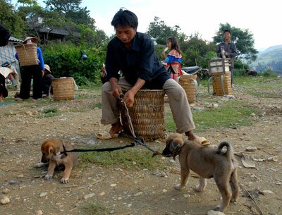 Sotaydulich Sotay Dulich Khampha Kham Pha Bui Hinh anh doc dao tai cho vung cao