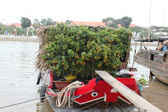 Sotaydulich Sotay Dulich Khampha Kham Pha Bui Xuan que