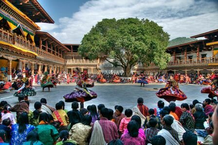 Sotaydulich Sotay Dulich Khampha Kham Pha Bui Punakha Dromche Bhutan