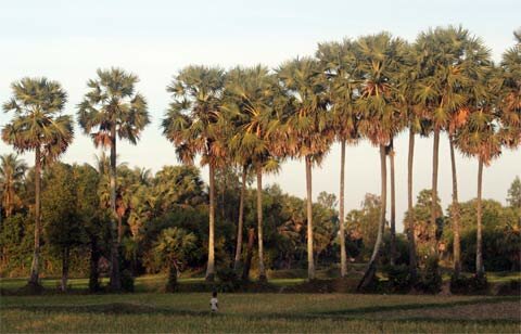 Sotaydulich Sổ tay du lịch so tay du lich Sotay Dulich Khampha Kham Pha Bui Menh mong song nuoc mien Tay