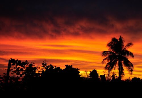  Sotaydulich Sổ tay du lịch so tay du lich Sotay Dulich Khampha Kham Pha Bui Nauru huyen bi ky su bien xa Dat nuoc co hinh qua trung