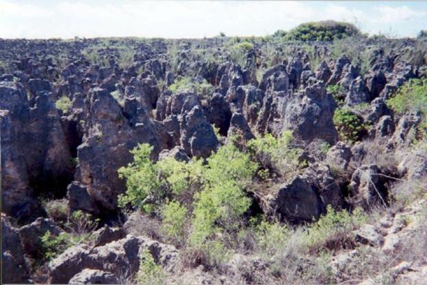  Sotaydulich Sổ tay du lịch so tay du lich Sotay Dulich Khampha Kham Pha Bui Nauru huyen bi ky su bien xa Dat nuoc co hinh qua trung