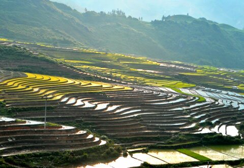 Sotaydulich Sổ tay du lịch so tay du lich Sotay Dulich Khampha Kham Pha Bui Ruong bac thang mua nuoc do