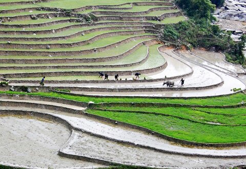 Sotaydulich Sổ tay du lịch so tay du lich Sotay Dulich Khampha Kham Pha Bui Ruong bac thang mua nuoc do