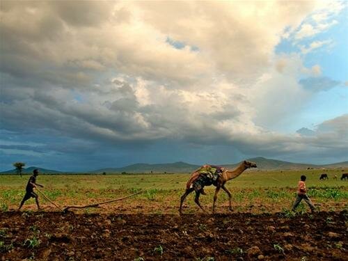 Sổ tay du lịch so tay du lich Sotaydulich Sotay Dulich Khampha Kham Pha Bui Kham pha Ethiopia