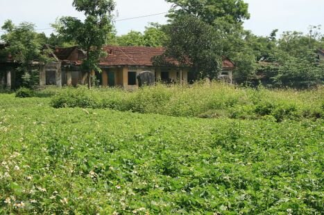 Sổ tay du lịch so tay du lich Sotaydulich Sotay Dulich Khampha Kham Pha Bui Ve voi Hue thuong Vo mieu di tich xua con lai