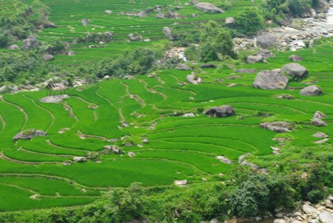 Sổ tay du lịch so tay du lich Sotaydulich Sotay Dulich Khampha Kham Pha Bui Duong len cong troi o Sapa