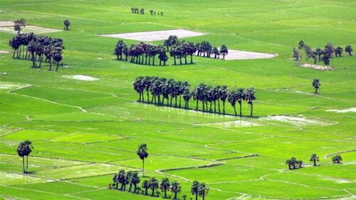 Sổ tay du lịch so tay du lich Sotaydulich Sotay Dulich Khampha Kham Pha Bui Chau Doc mua nuoc noi